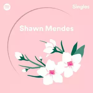 Shawn Mendes - Use Somebody